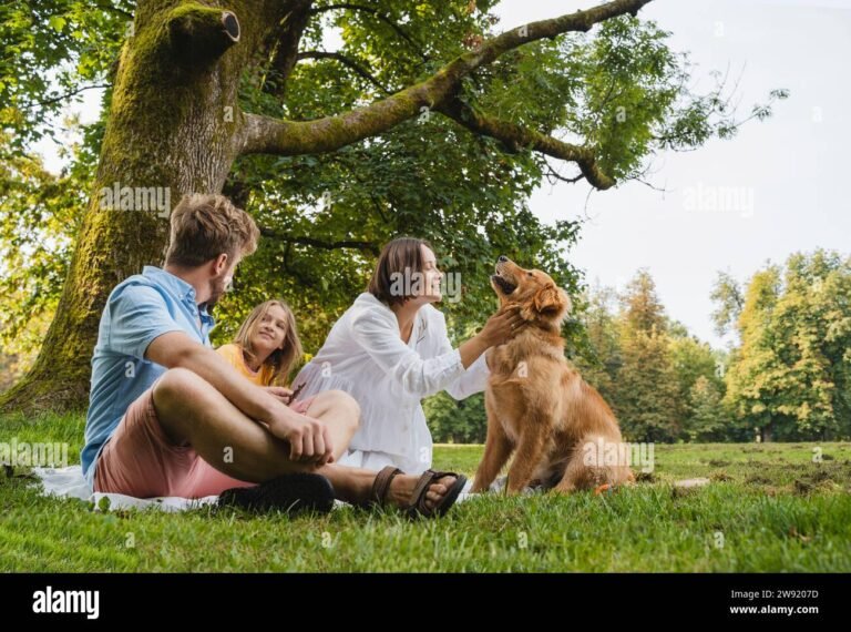 un cane felice in un parco cittadino