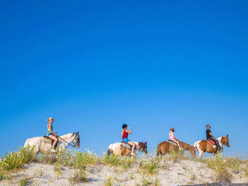 Cosa sapere sul Cavallino Rosso a San Giovanni Rotondo