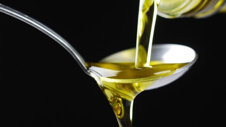 Che cos'è il filo d'olio e quali sono i suoi usi in cucina 44 un filo dolio versato su un piatto