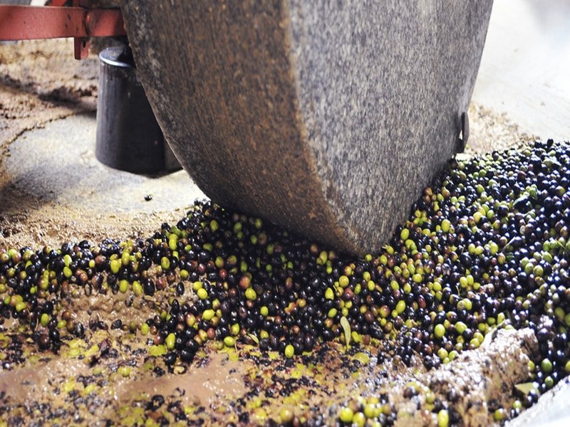Cosa rende speciale l’olio del Frantoio Muraglia Scoprilo qui!