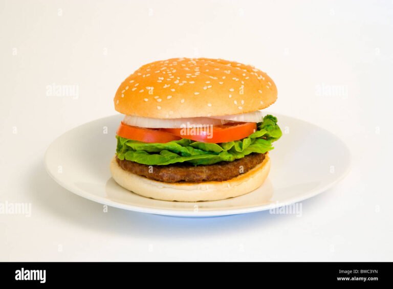 Quali sono i costi dei panini da McDonald's in Italia 9 un hamburger su un piatto elegante
