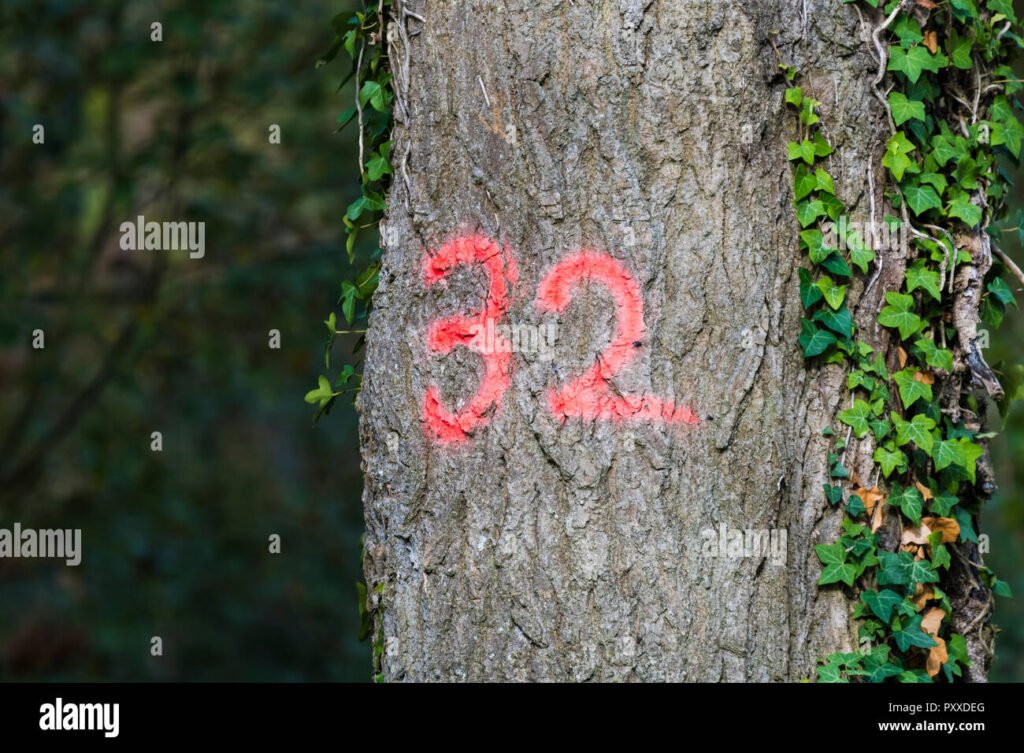 Cosa Sono i Marchi a Fuoco e Come Vengono Utilizzati nel Settore 6 Cosa Sono i Marchi a Fuoco e Come Vengono Utilizzati nel Settore