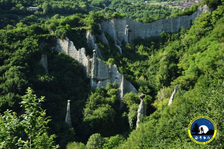 un masso antico in un paesaggio naturale
