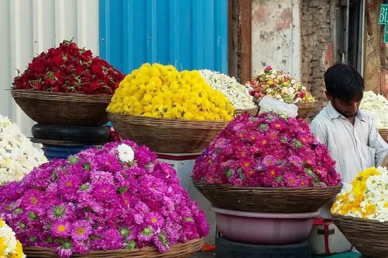 un mercato vivace con colori e profumi