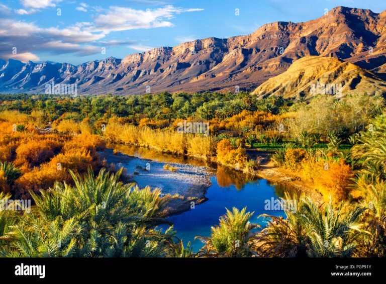 Quali meraviglie nasconde l'Oasi WWF di Policoro in Basilicata 28 un paesaggio sereno delloasi con fauna