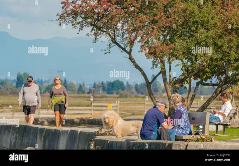Cos'è Madrid Río e quali attività offre ai visitatori 19 un parco con persone che si divertono