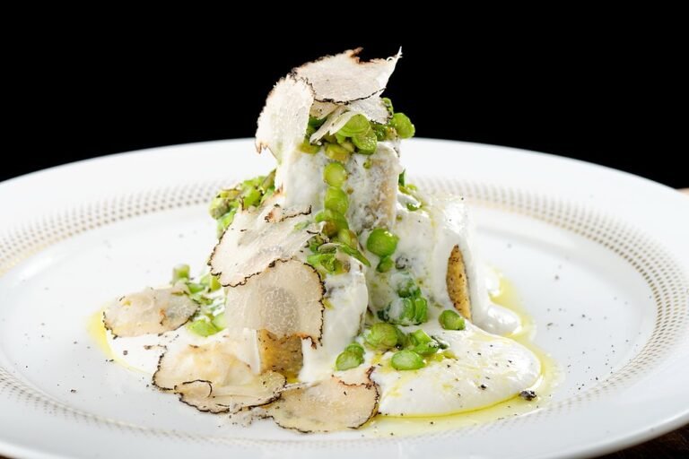 Quanto costa il tartufo bianco al grammo nei ristoranti italiani 13 un piatto gourmet con tartufo bianco