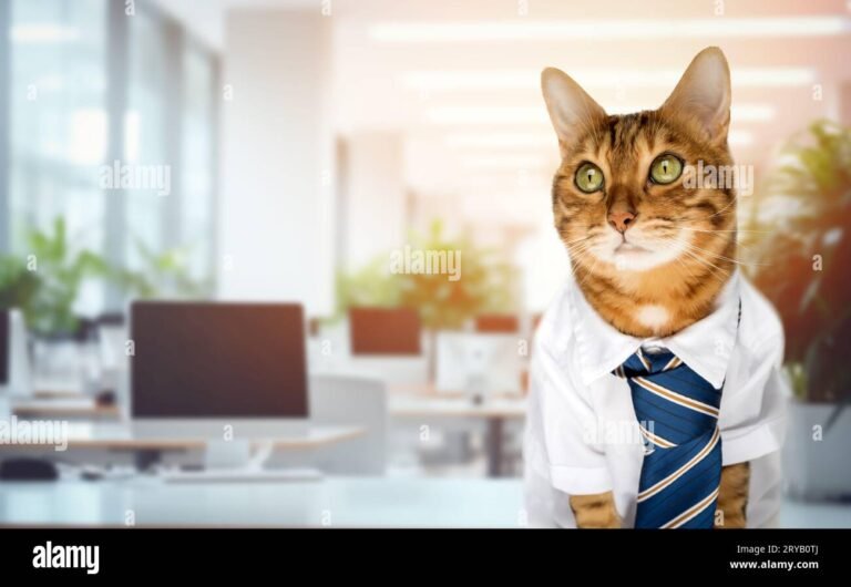 una gatta giocosa in un ambiente aziendale