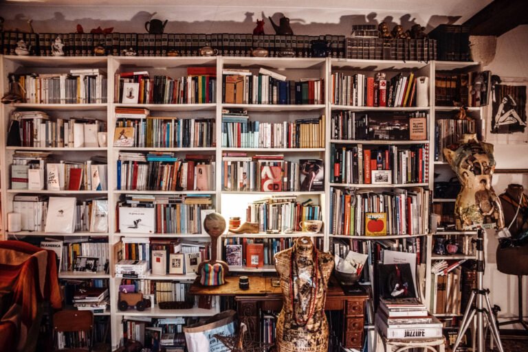 Perché scegliere Piccin come nuova libraria per i tuoi libri 11 una libreria accogliente piena di libri