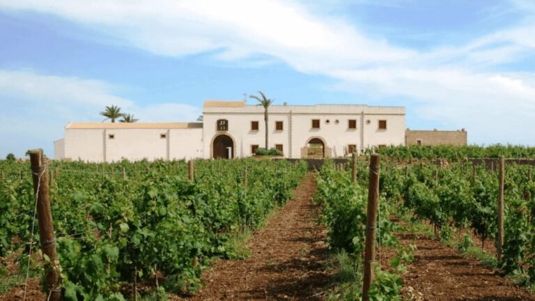 una vista panoramica del baglio baiata