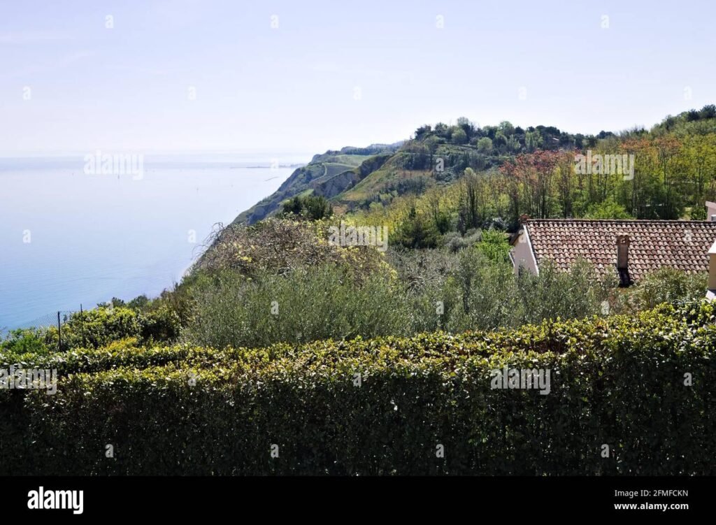 Quali sono i migliori parchi da visitare durante un giro negli USA 1 una vista panoramica di un parco nazionale