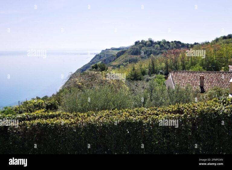 una vista panoramica di un parco nazionale