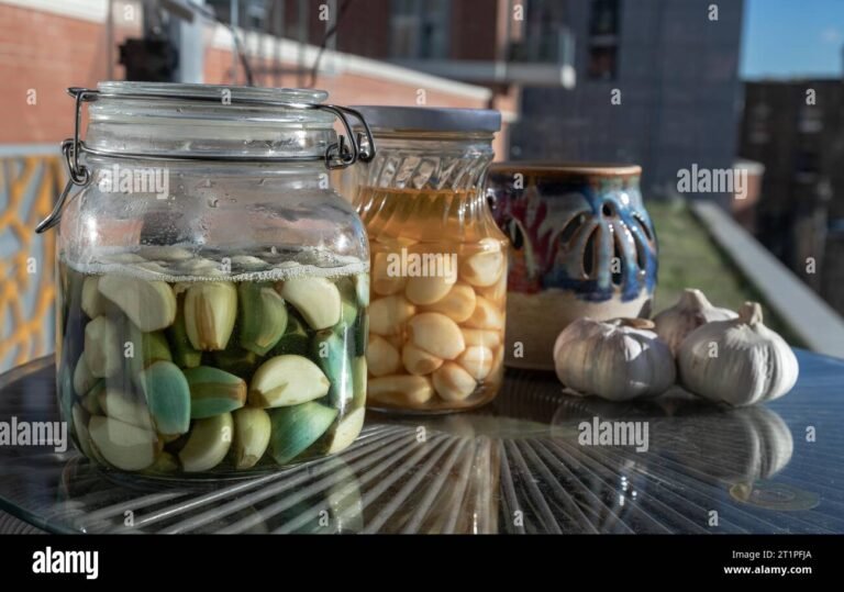 Come preparare l'aglio sott'olio in modo semplice e veloce 6 vasi di aglio sottolio artigianali