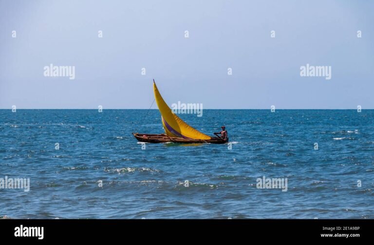 vele colorate al vento su un mare blu