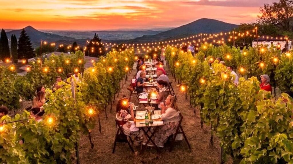 Cosa sapere su Vinando a Tor Margana: eventi e informazioni utili