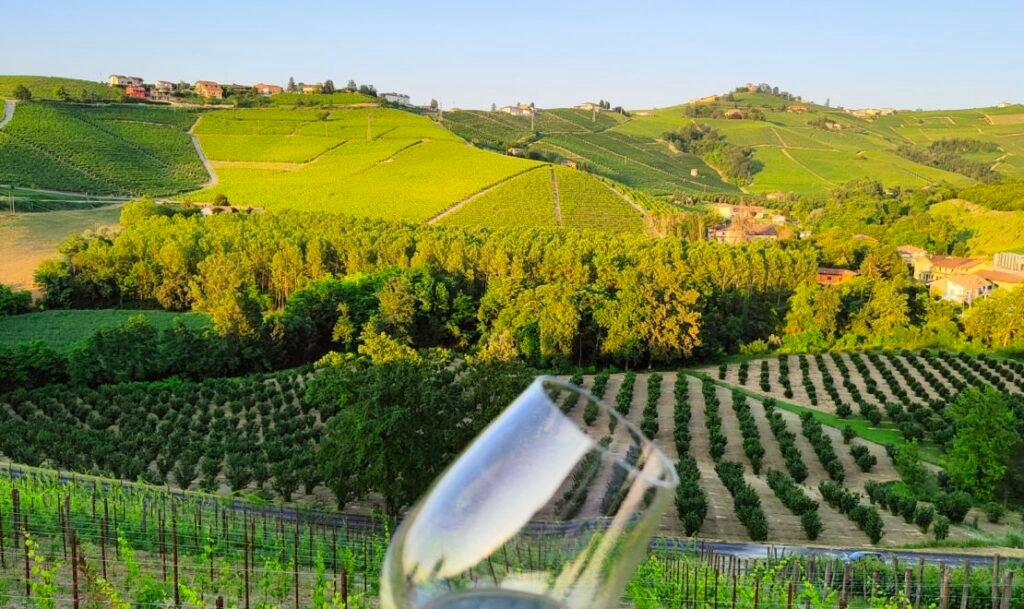 Dove organizzare un picnic in vigna in Lombardia Scopri le migliori location!