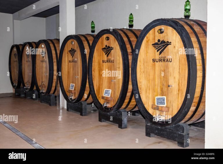 vigneti con botti di vino in esposizione