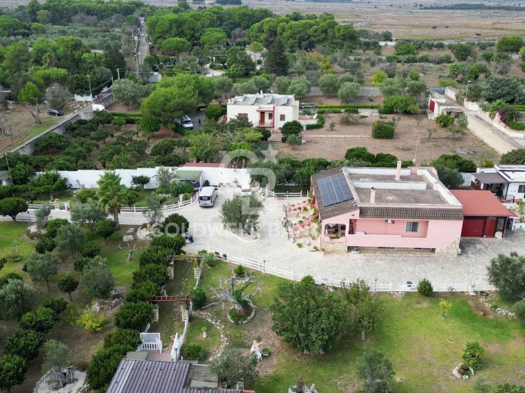 Cosa sapere sulla Villa D'Amato e la sua storia affascinante 7 Cosa sapere sulla Villa D’Amato e la sua storia affascinante