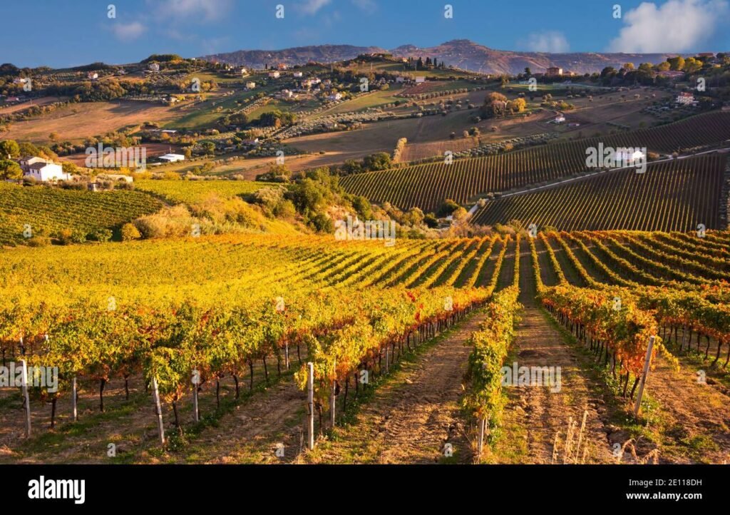 Che cosa offre la Cantina Santa Barbara per i suoi visitatori