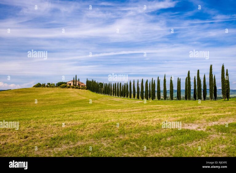 vista panoramica della campagna toscana